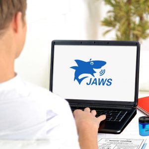 Software Jaws, ZoomText,Fusion